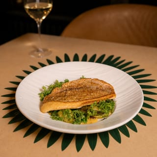 Snapper 