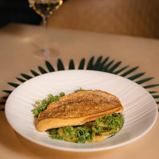 Snapper